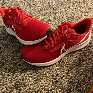 Nike Zoom Pegasus 39 TB